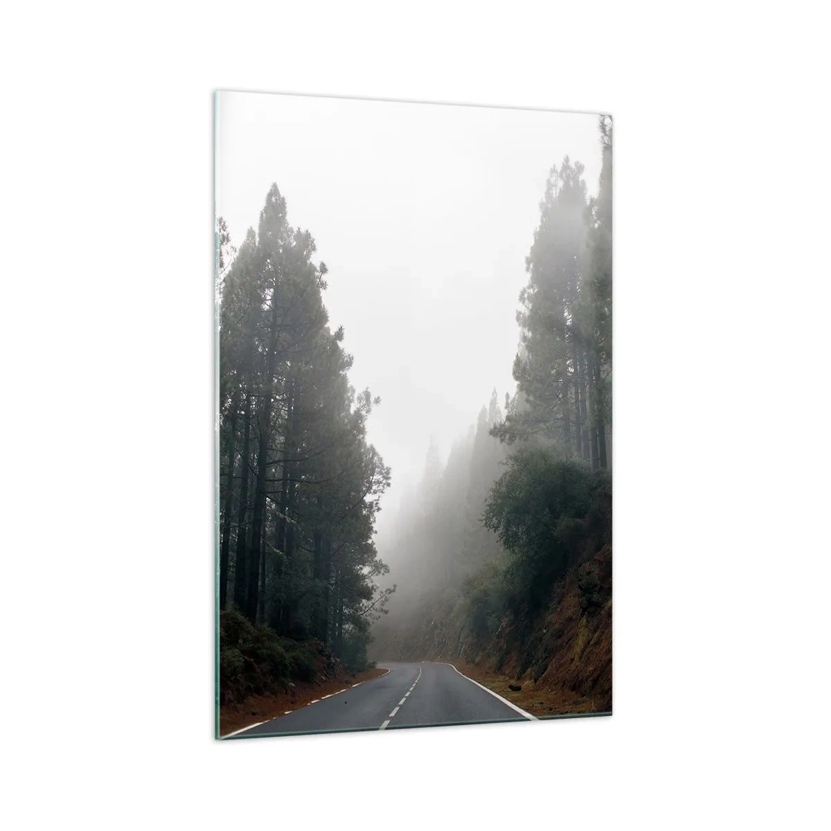 Glasbild - Bild auf glas - Eine Geschichte von einem magischen Wald - 70x100 cm