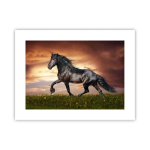 Poster - Schwarzer Prinz - 40x30 cm