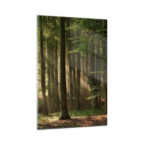 Glasbild - Bild auf glas - Sonnenstrahlen dringen durch die Bäume im Wald - 80x120cm - Strahlend an einem Frühlingsmorgen - Moderne Wanddekoration für Wohnzimmer und Schlafzimmer ARTTOR