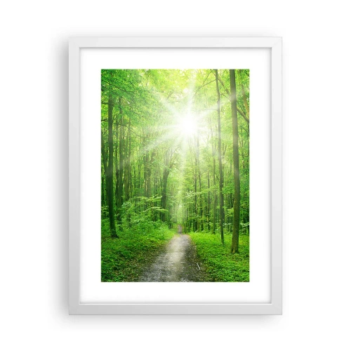 Poster in einem weißen Rahmen - Die grüne Kathedrale - 30x40 cm