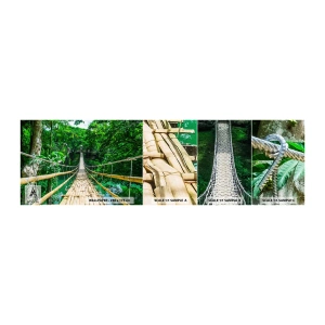 Fototapetenmuster Standard Eco - Monkey Bridge über das Grün - Landschaft, Dschungel, Philippinen - 100x30 cm
