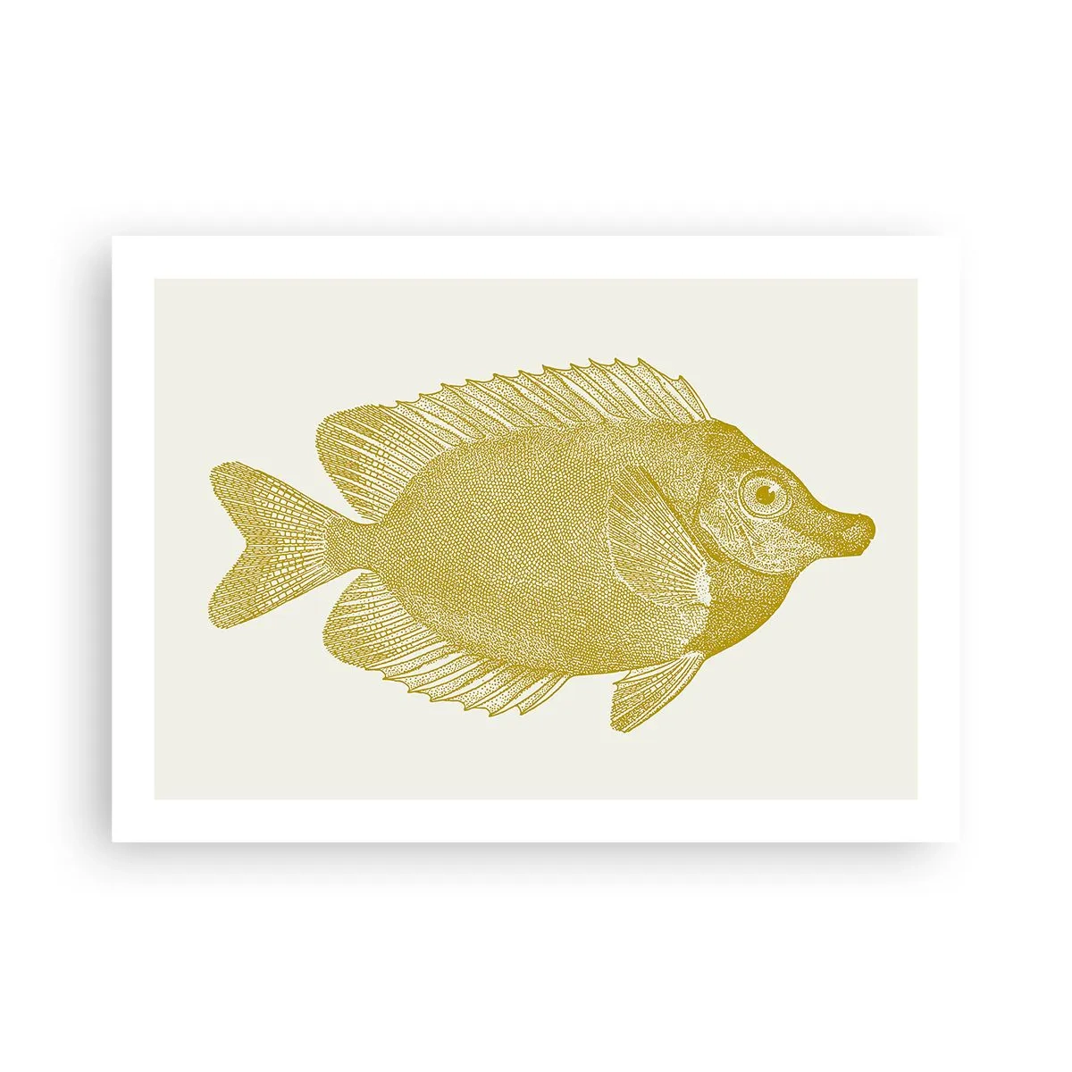 Poster - Fisch und das war’s - 70x50 cm