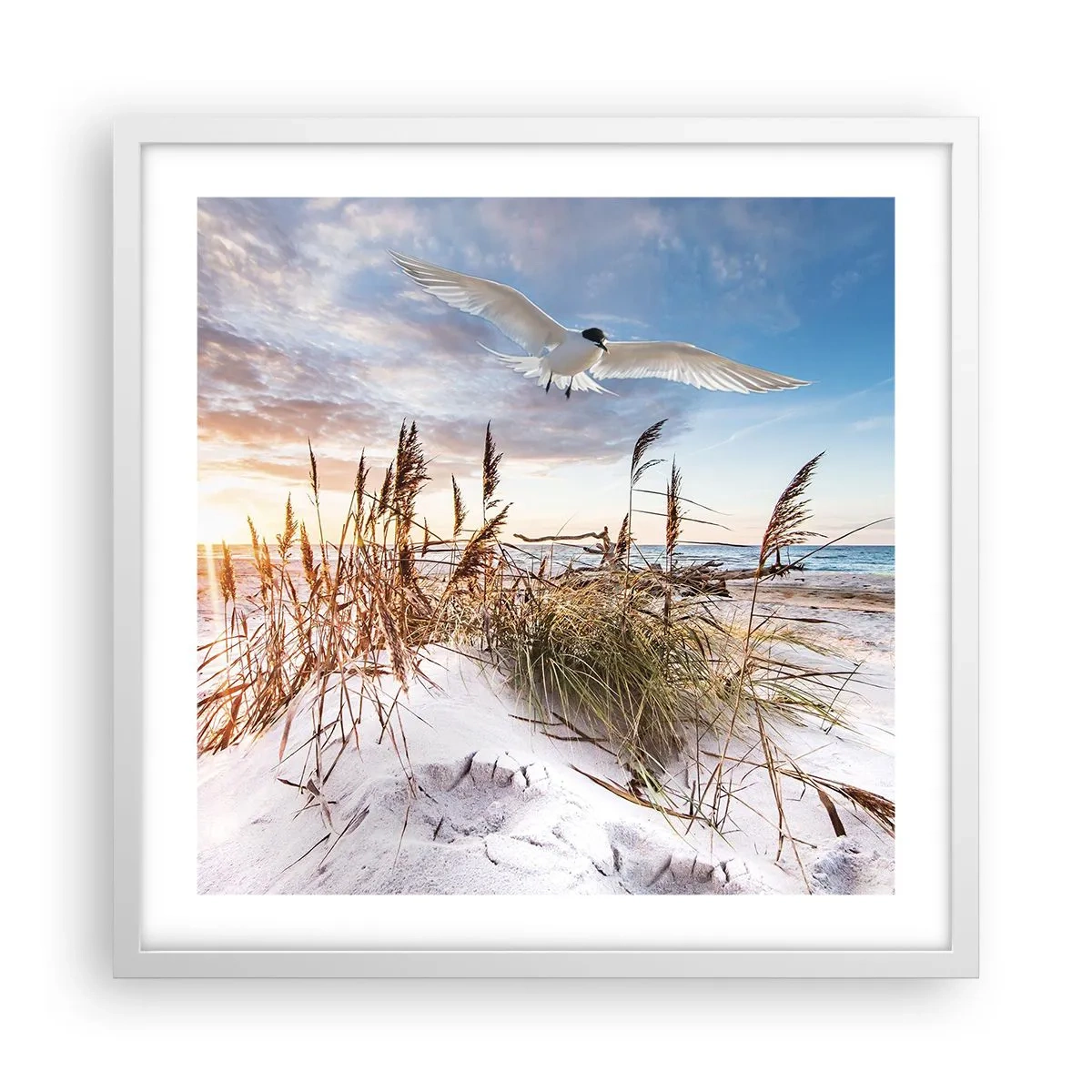 Poster in einem weißen Rahmen - Wind vom Meer - 50x50 cm