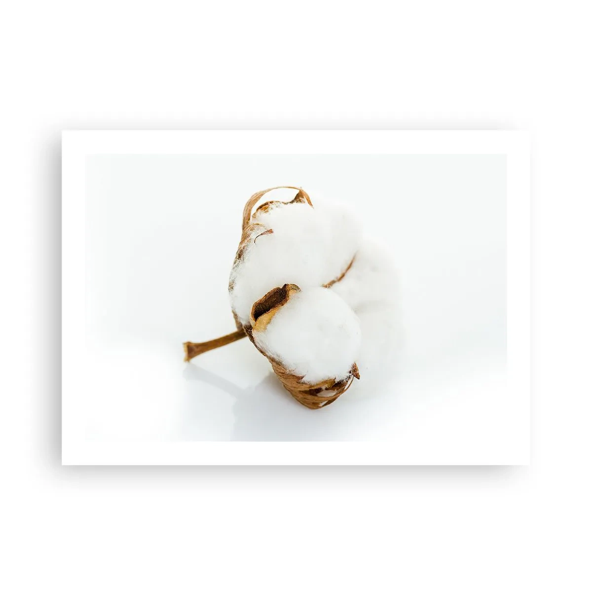 Poster - Von Natur aus weich - 70x50 cm