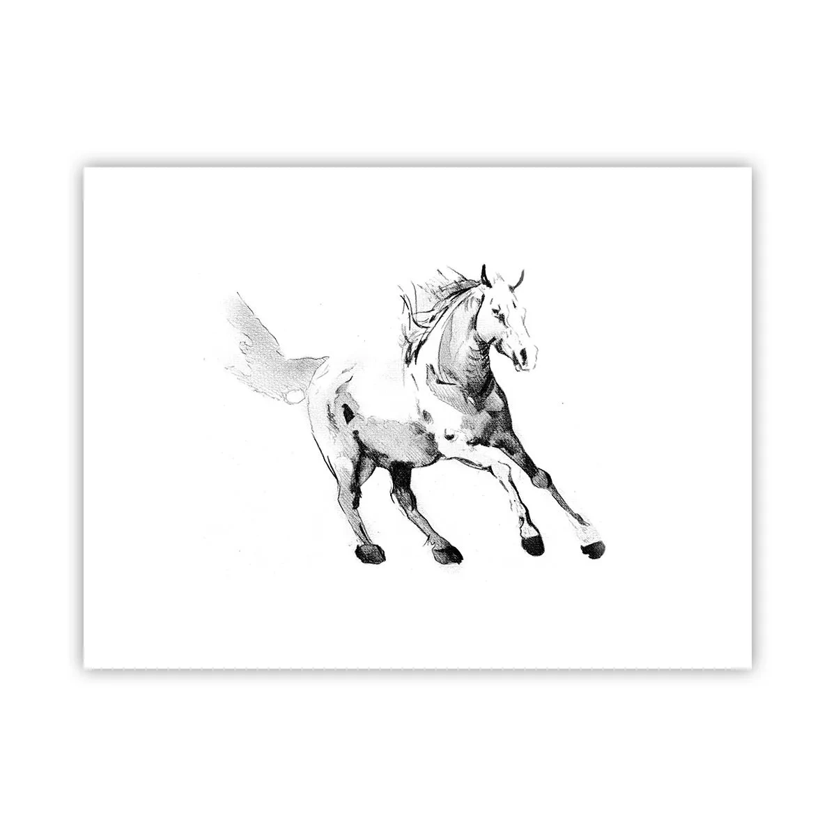 Poster - Ungezähmte Seele - 40x30 cm
