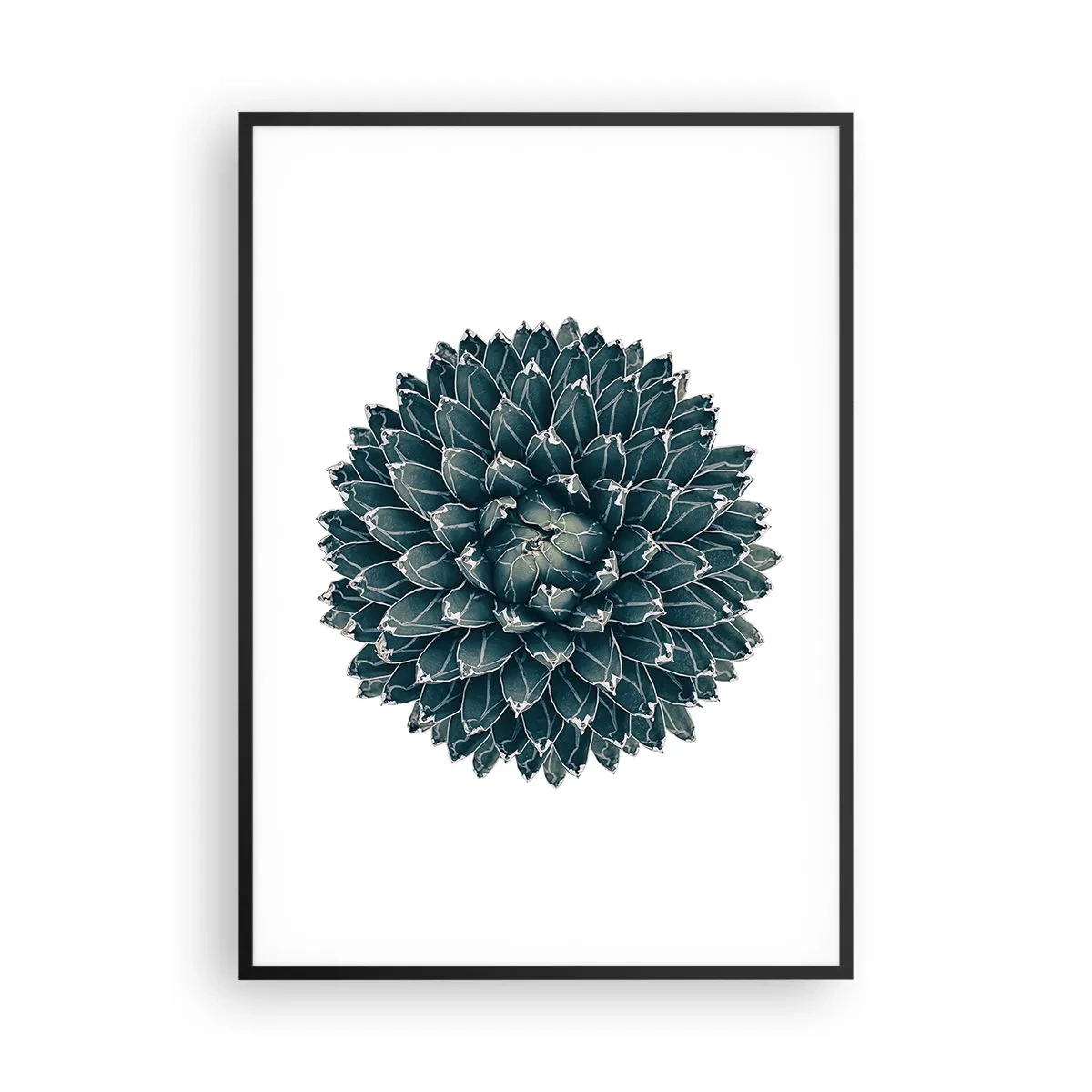 Poster in einem schwarzem Rahmen - Stern der Wüste - 70x100 cm