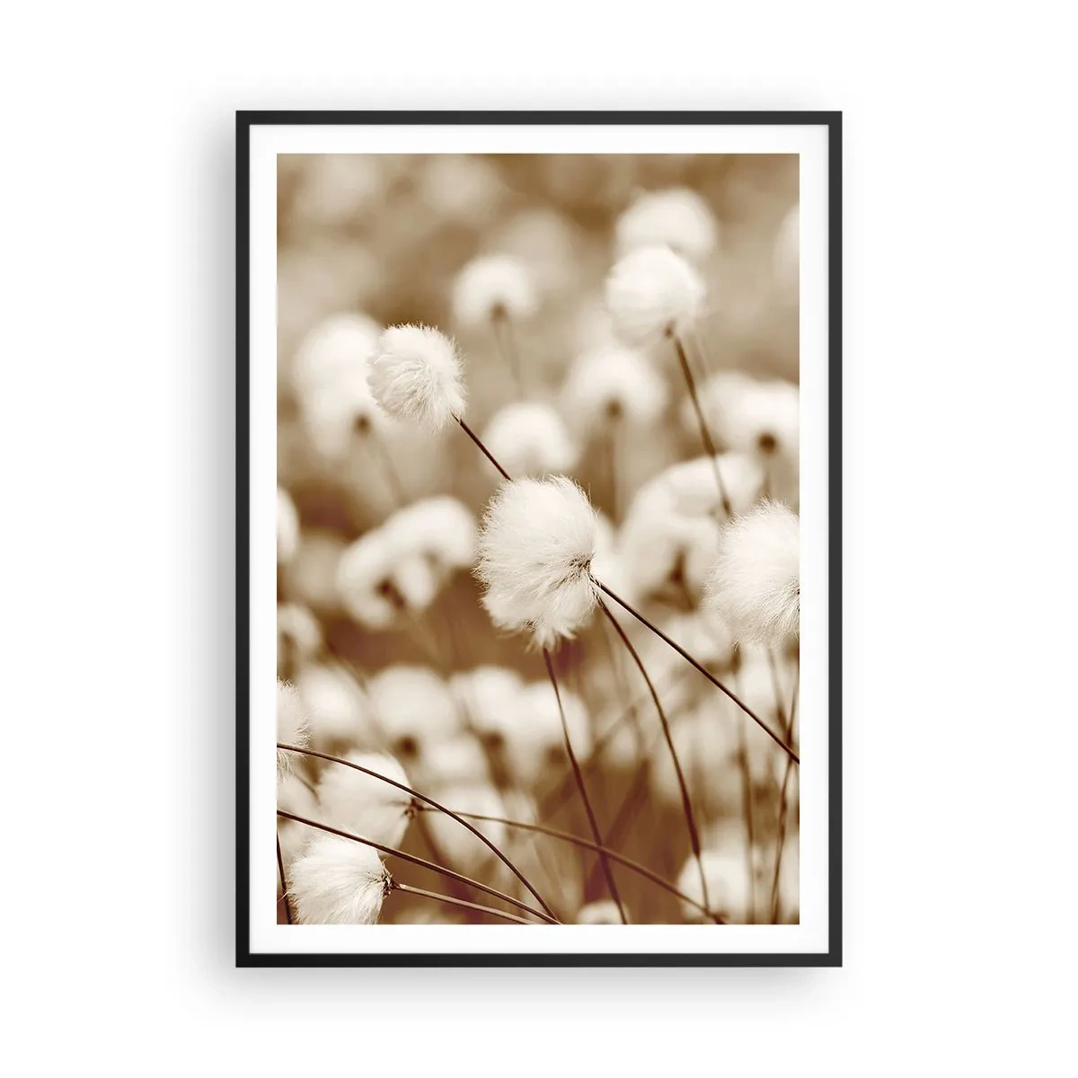 Poster in einem schwarzem Rahmen - Flauschiges Kornfeld - 70x100 cm