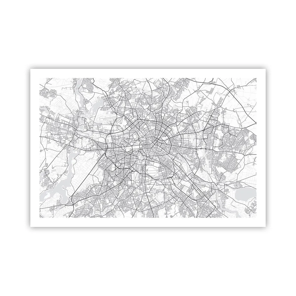 Poster - Berliner Blume - 91x61 cm