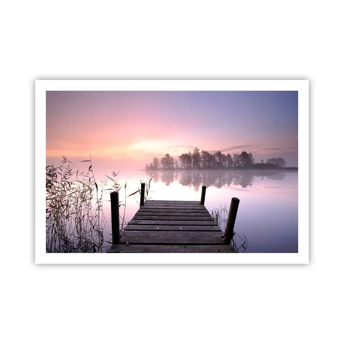 Poster - Aus dem lila Nebel ... - 91x61 cm