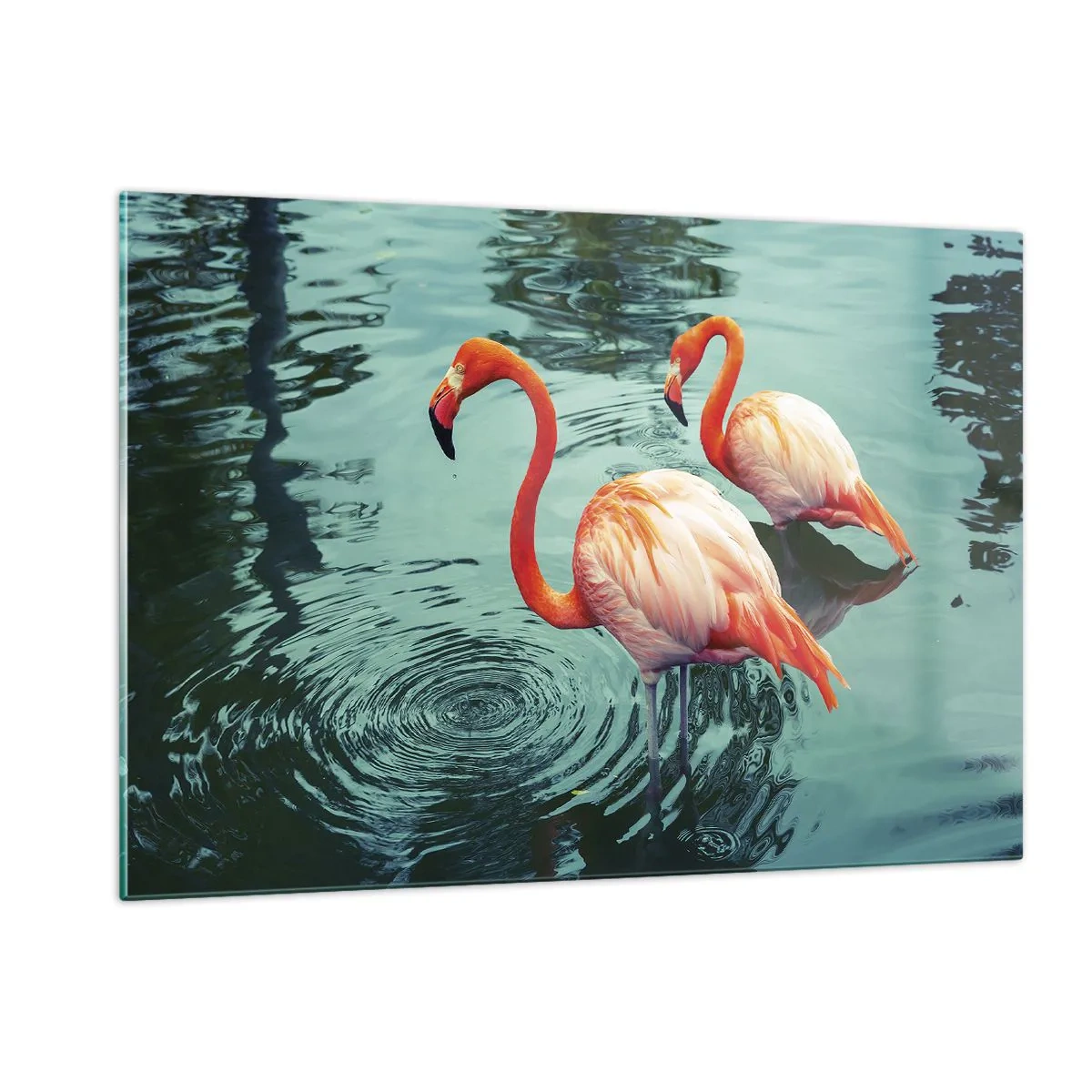 Glasbild - Bild auf glas - Flamingos auf dem Wasser in harmonischer Komposition - 120x80cm - Wir sind jetzt in Mode - Moderne Wanddekoration für Wohnzimmer und Schlafzimmer ARTTOR