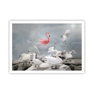 Poster - Ein rosa Flamingo zwischen weißen Schwänen vor der Kulisse eines Sees - 100x70cm - Wie kam ich hier hin? - Moderne Wanddekoration für Wohnzimmer und Schlafzimmer ARTTOR