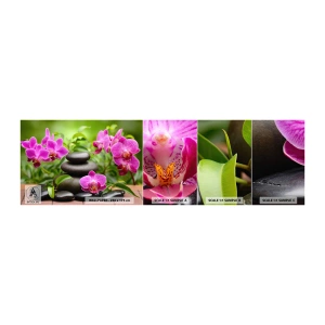Fototapetenmuster Standard Eco - Die Pyramide des Friedens - Blumen, Orchidee, Orchidee - 100x30 cm