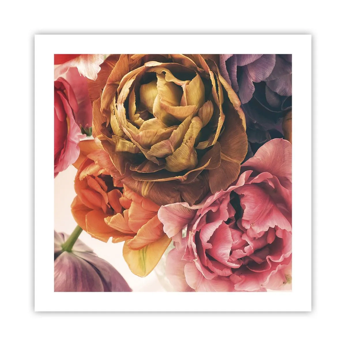 Poster - Eine Feier des Lebens - 50x50 cm