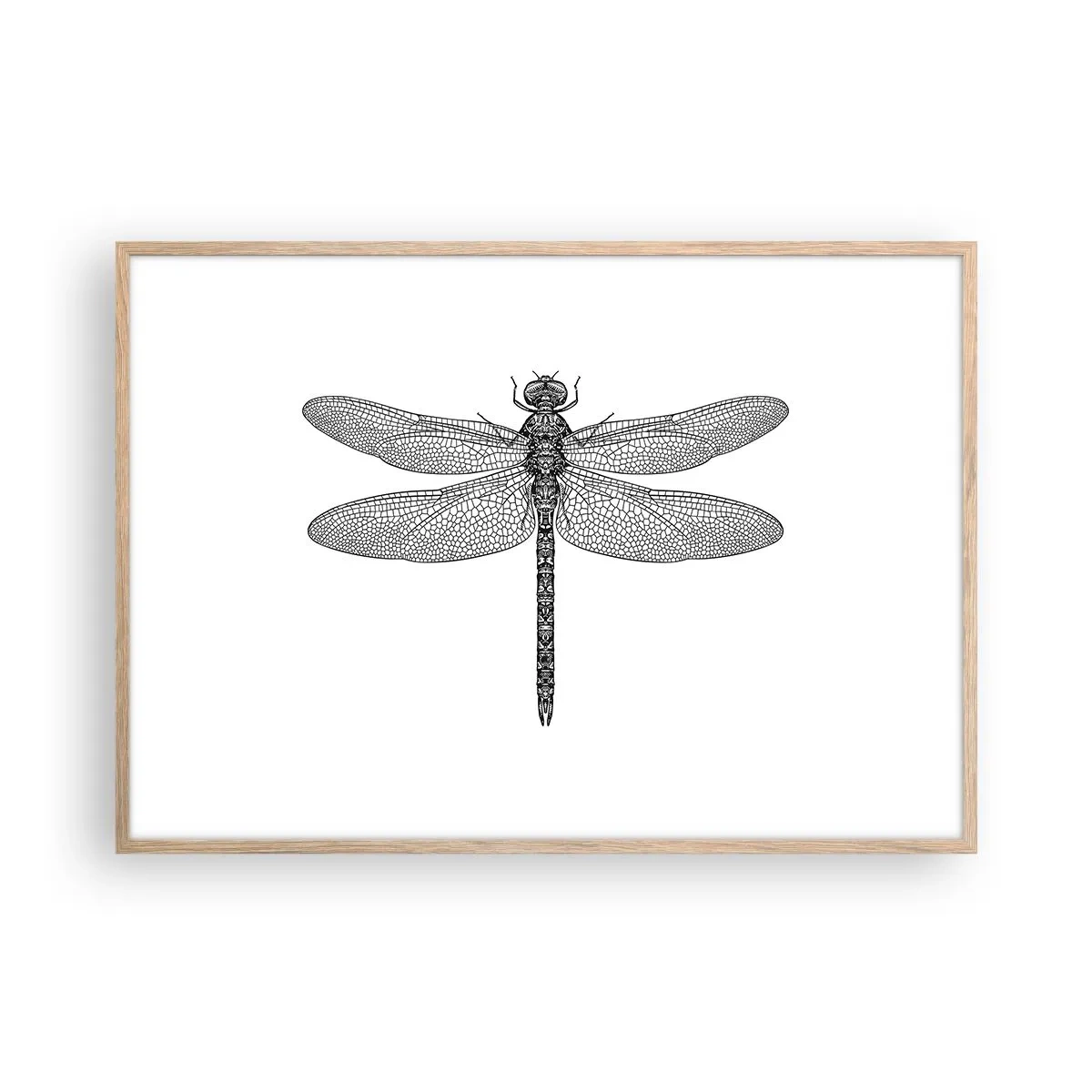 Poster in einem Rahmen aus heller Eiche - Präzision der Natur - 100x70 cm