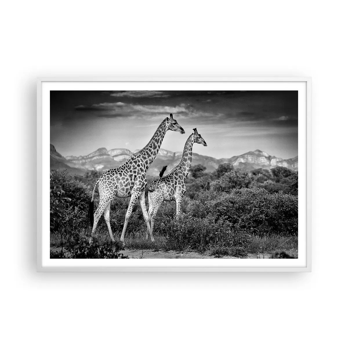 Poster in einem weißen Rahmen - Hohe Sphären in Afrika - 100x70 cm