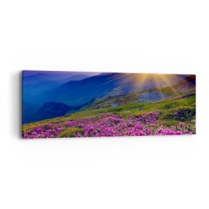 Bild auf Leinwand - Leinwandbild - … Und drumherum duftet es nach Latschenkiefer und dem Duft von Kräutern - 90x30 cm