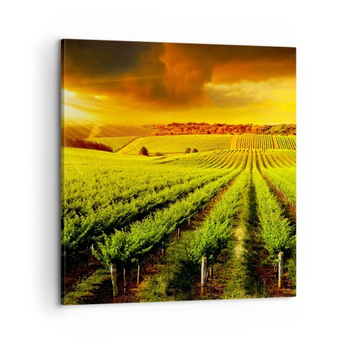 Bild auf Leinwand - Leinwandbild - Unter der australischen Sonne - 60x60 cm