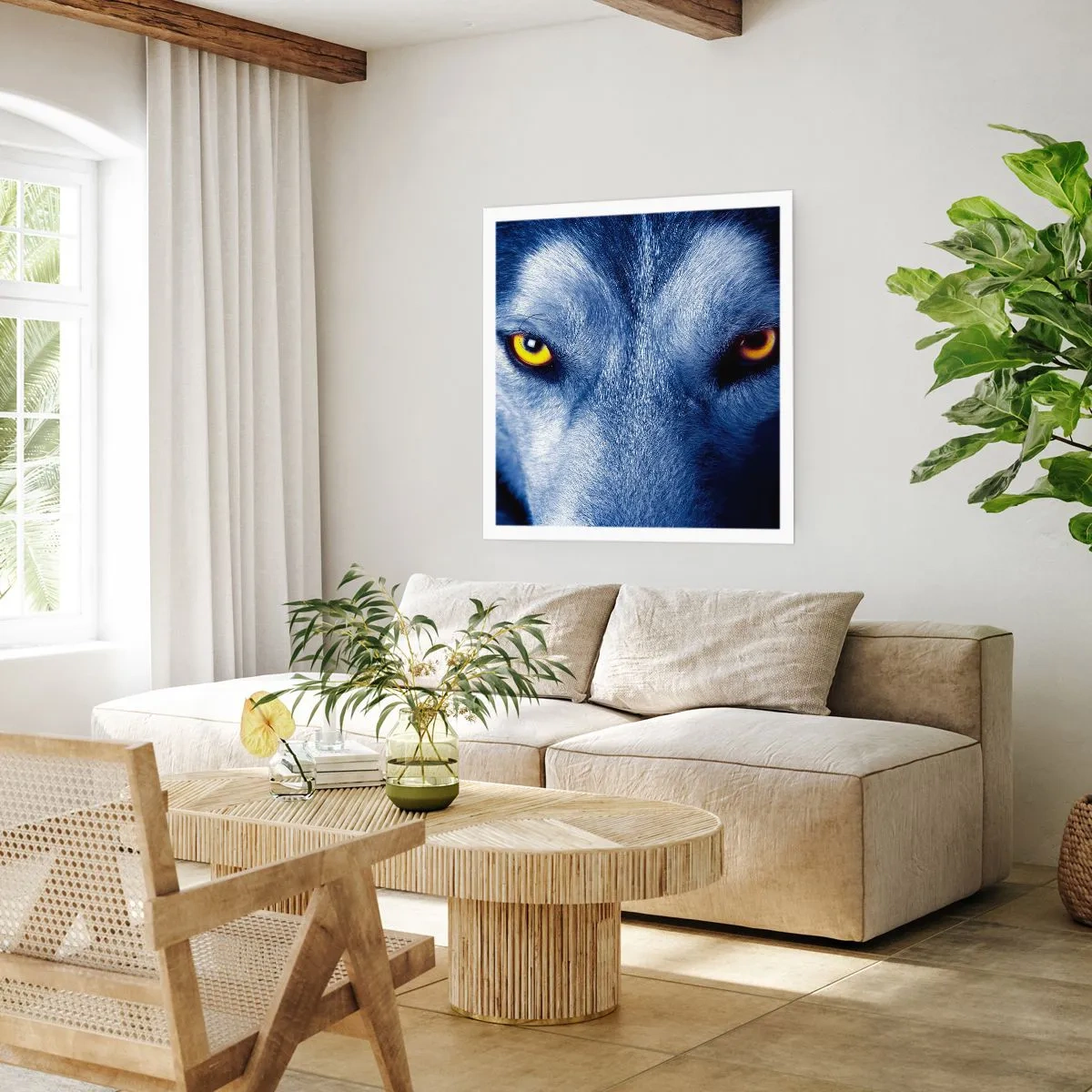 Poster - Faszinierender Blick - 50x50 cm