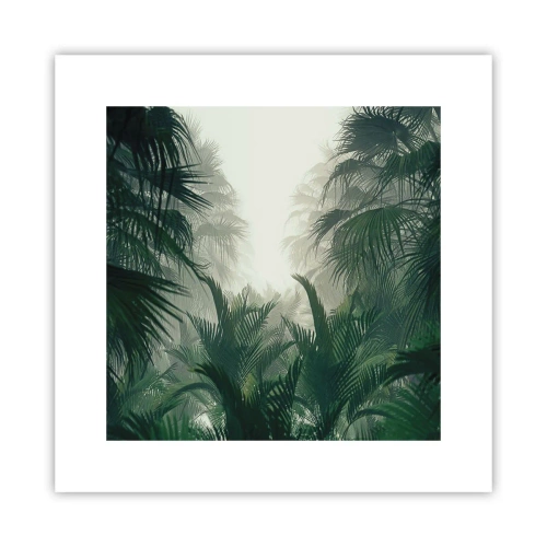 Poster - Tropisches Geheimnis - 30x30 cm