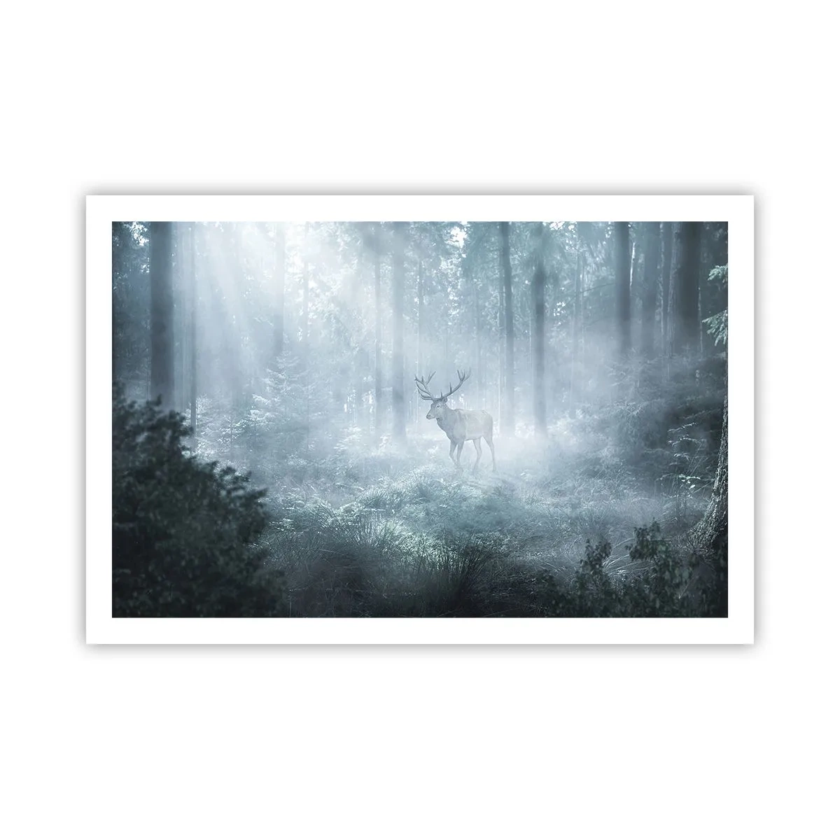 Poster - Morgenvisite auf dem Grundstück - 91x61 cm