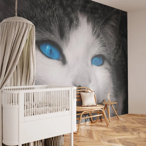 Selbstklebende Fototapete Deluxe Sticker - Ungewöhnlich blauäugig - Tiere, Katze, Blaue Augen - 150x105 cm