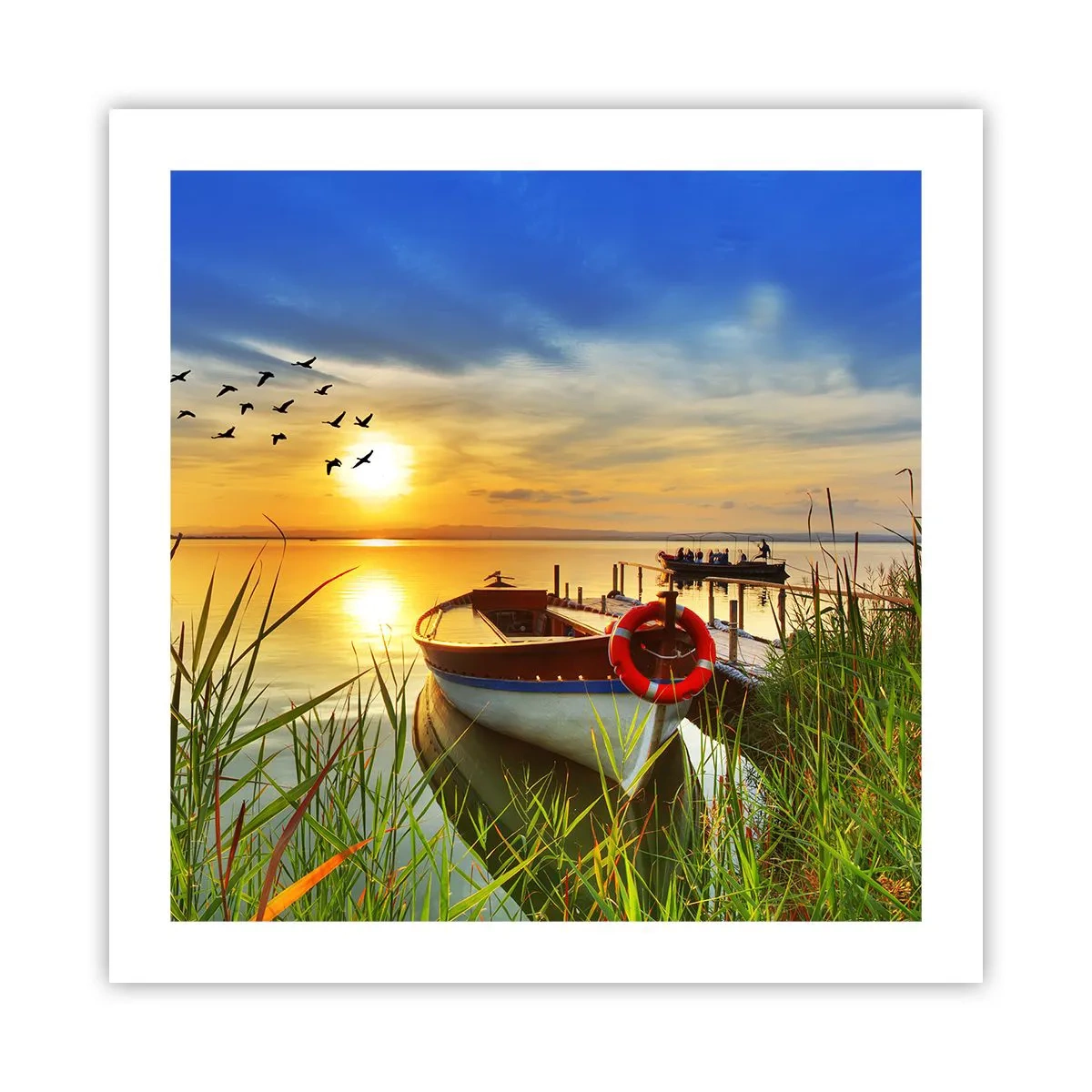 Poster - Die Kormorane fliegen schon weg - 50x50 cm