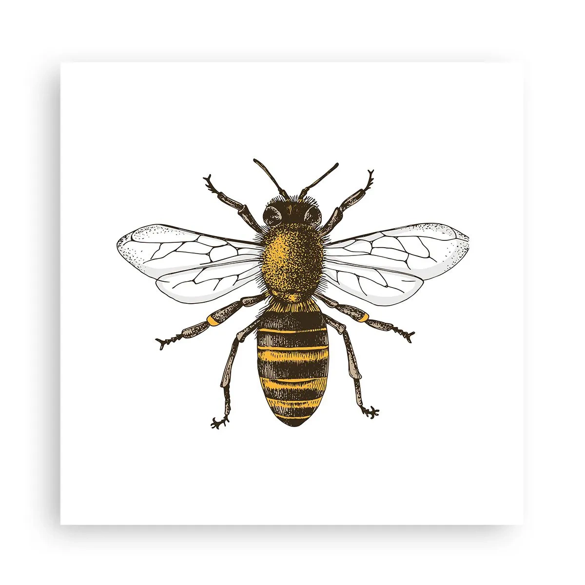 Poster - Schön und gut - 30x30 cm