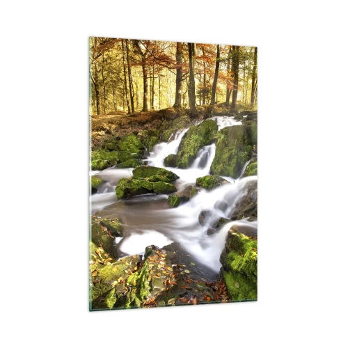 Glasbild - Bild auf glas - Eine bewaldete Landschaft mit einem von Moos umgebenen Wasserfall - 80x120cm - Rasch durch den herbstlichen Wald - Moderne Wanddekoration für Wohnzimmer und Schlafzimmer ARTTOR