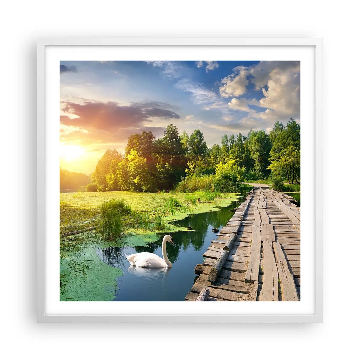 Poster in einem weißen Rahmen - Sommer, Sommer überall - 60x60 cm