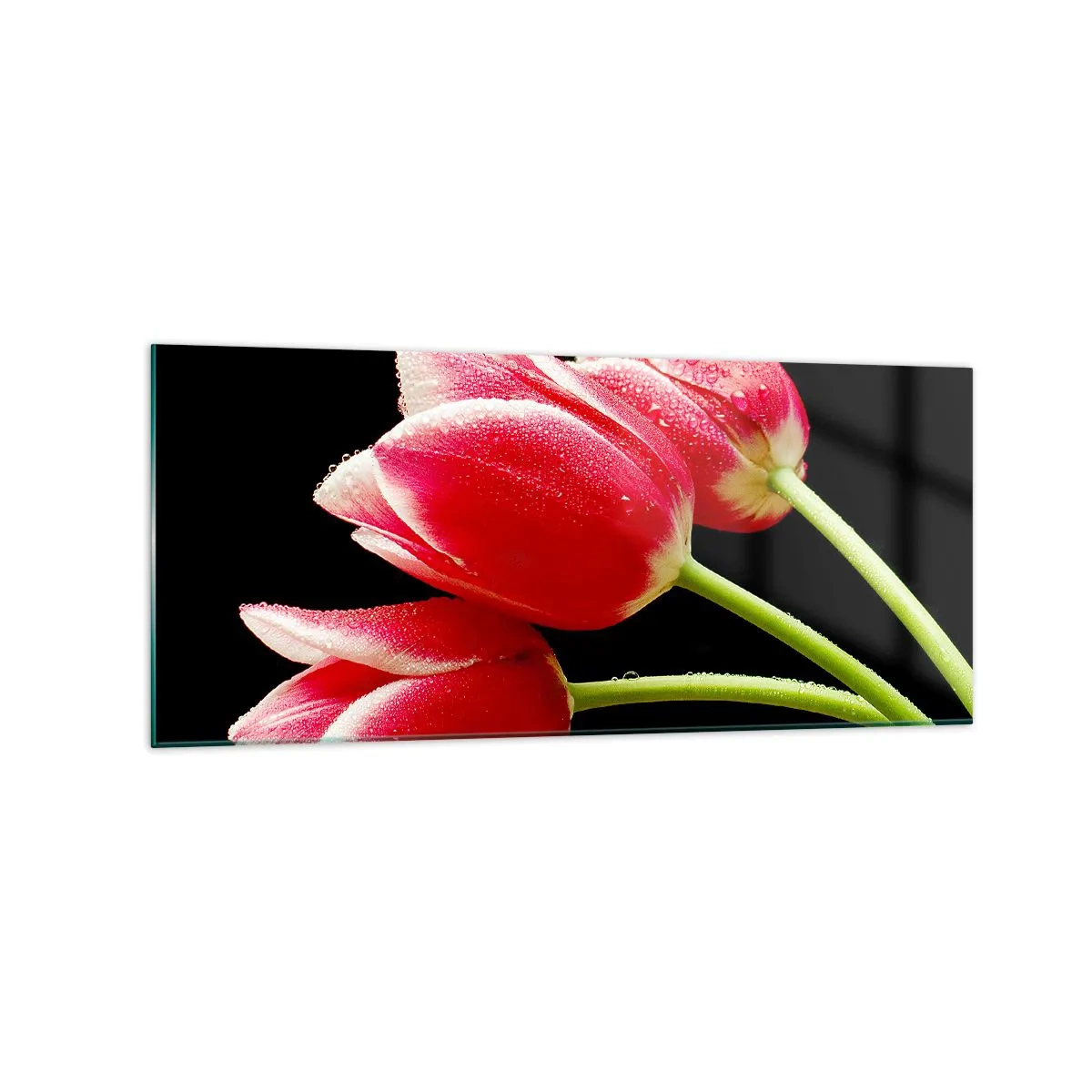 Glasbild - Bild auf glas - Rote Tulpen mit Tautropfen auf schwarzem Hintergrund - 120x50cm - Ein Versprechen der reinen Liebe - Moderne Wanddekoration für Wohnzimmer und Schlafzimmer ARTTOR