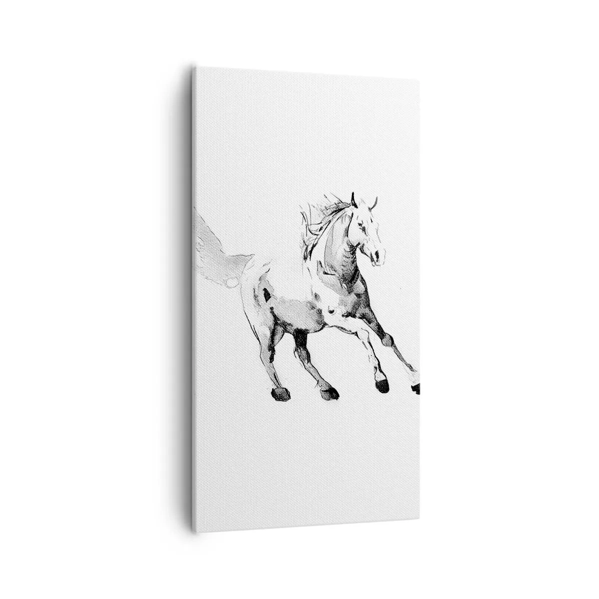 Bild auf Leinwand - Leinwandbild - Ungezähmte Seele - 55x100 cm