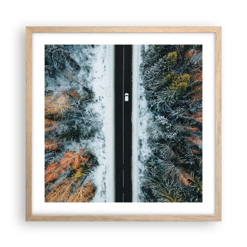 Poster in einem Rahmen aus heller Eiche - Schnitt durch den Winterwald - 50x50 cm
