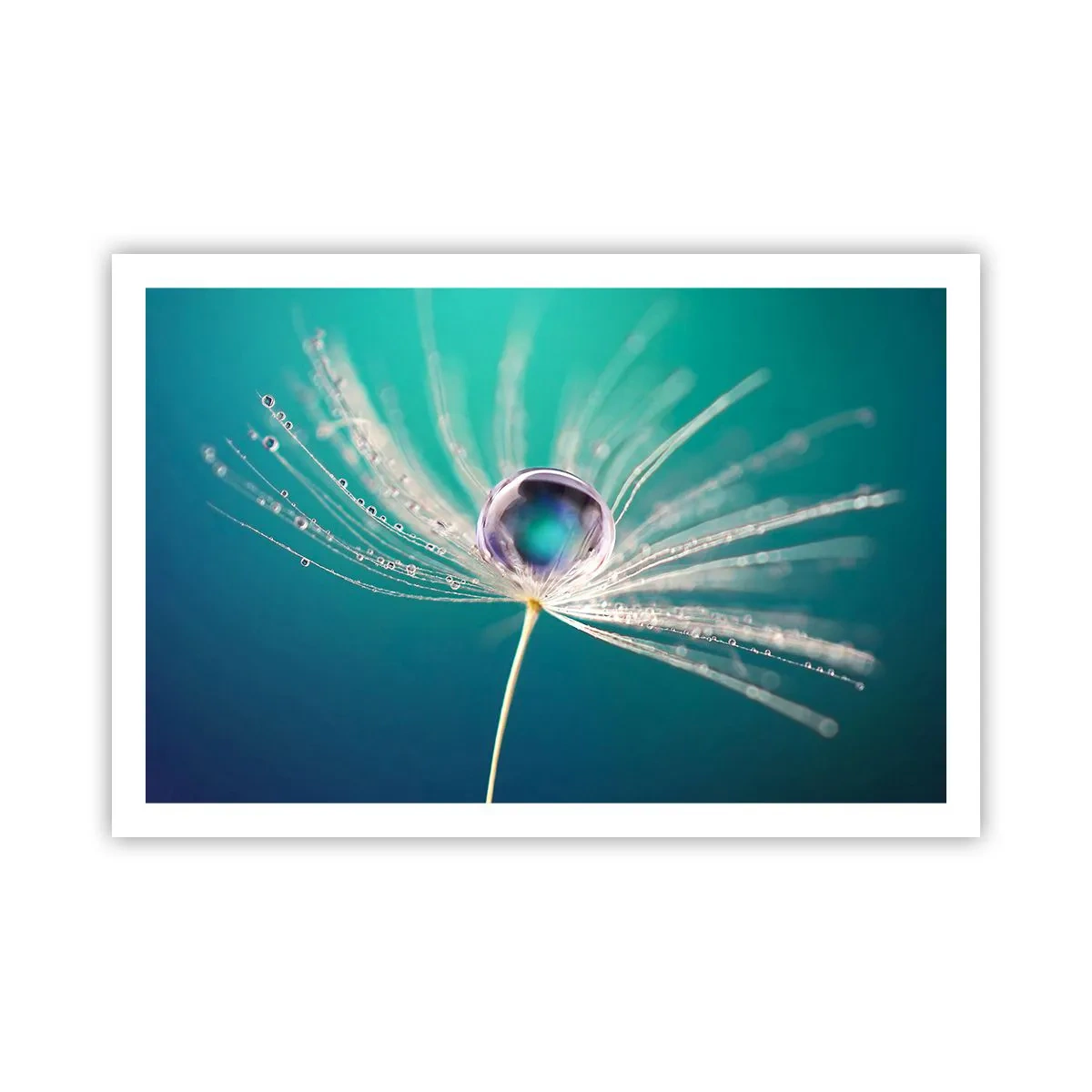 Poster - Mystischer Moment - 91x61 cm