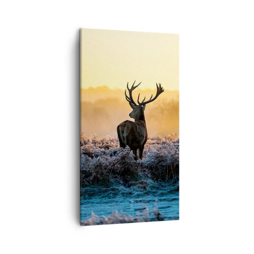 Bild auf Leinwand - Leinwandbild - Gekrönt auf seinem Besitz - 45x80 cm