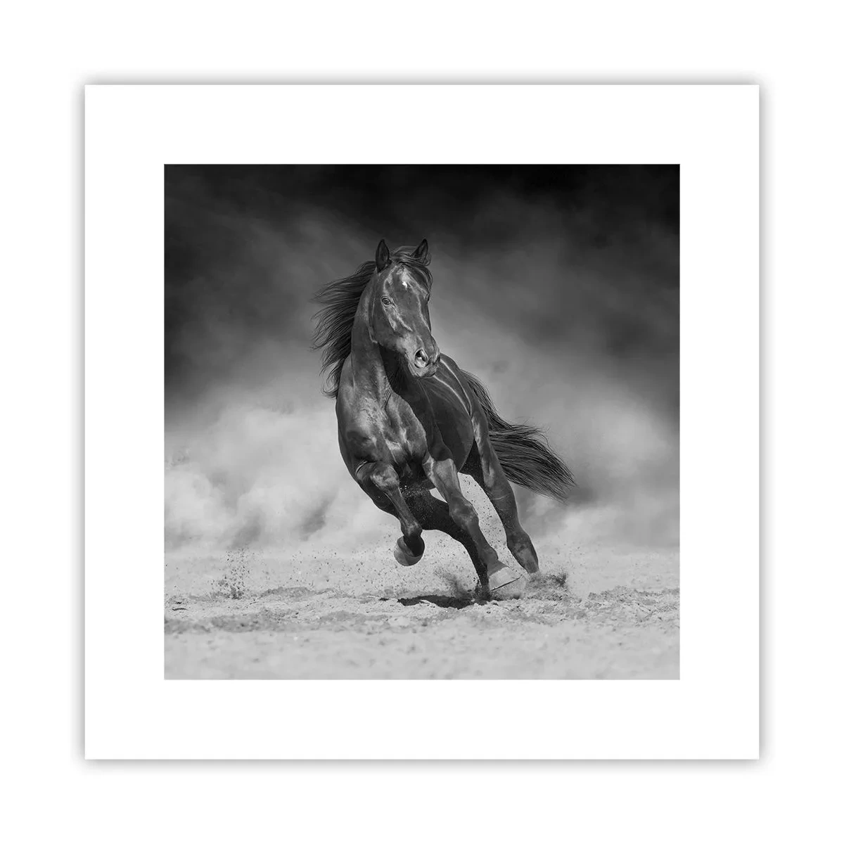 Poster - Würdig des Emirs selbst - 30x30 cm