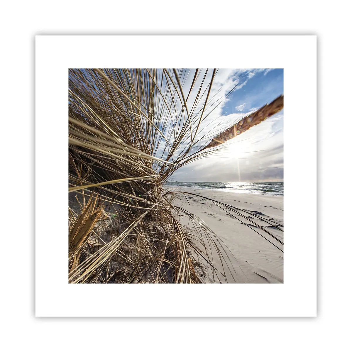 Poster - Ein Treffen der Elemente der Natur - 30x30 cm