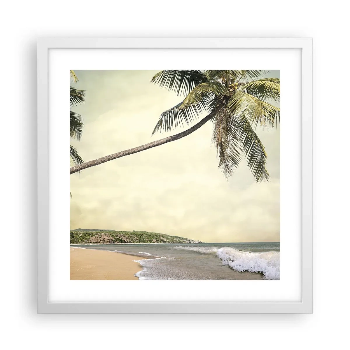 Poster in einem weißen Rahmen - Tropischer Traum - 40x40 cm