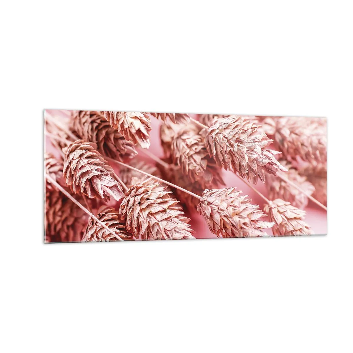 Glasbild - Bild auf glas - Eine Blumenkaskade in Rosa - 100x40 cm