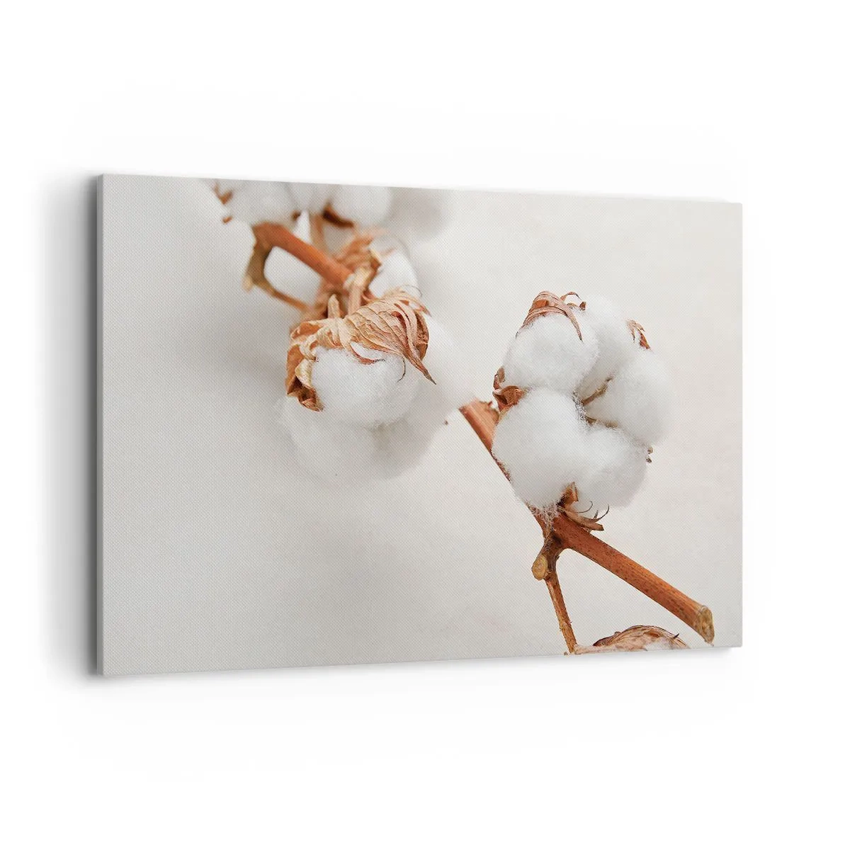 Bild auf Leinwand - Leinwandbild - Ein Zweig Baumwolle auf dezentem Untergrund - 120x80cm - Nur umarmen - Moderne Wanddekoration für Wohnzimmer und Schlafzimmer ARTTOR