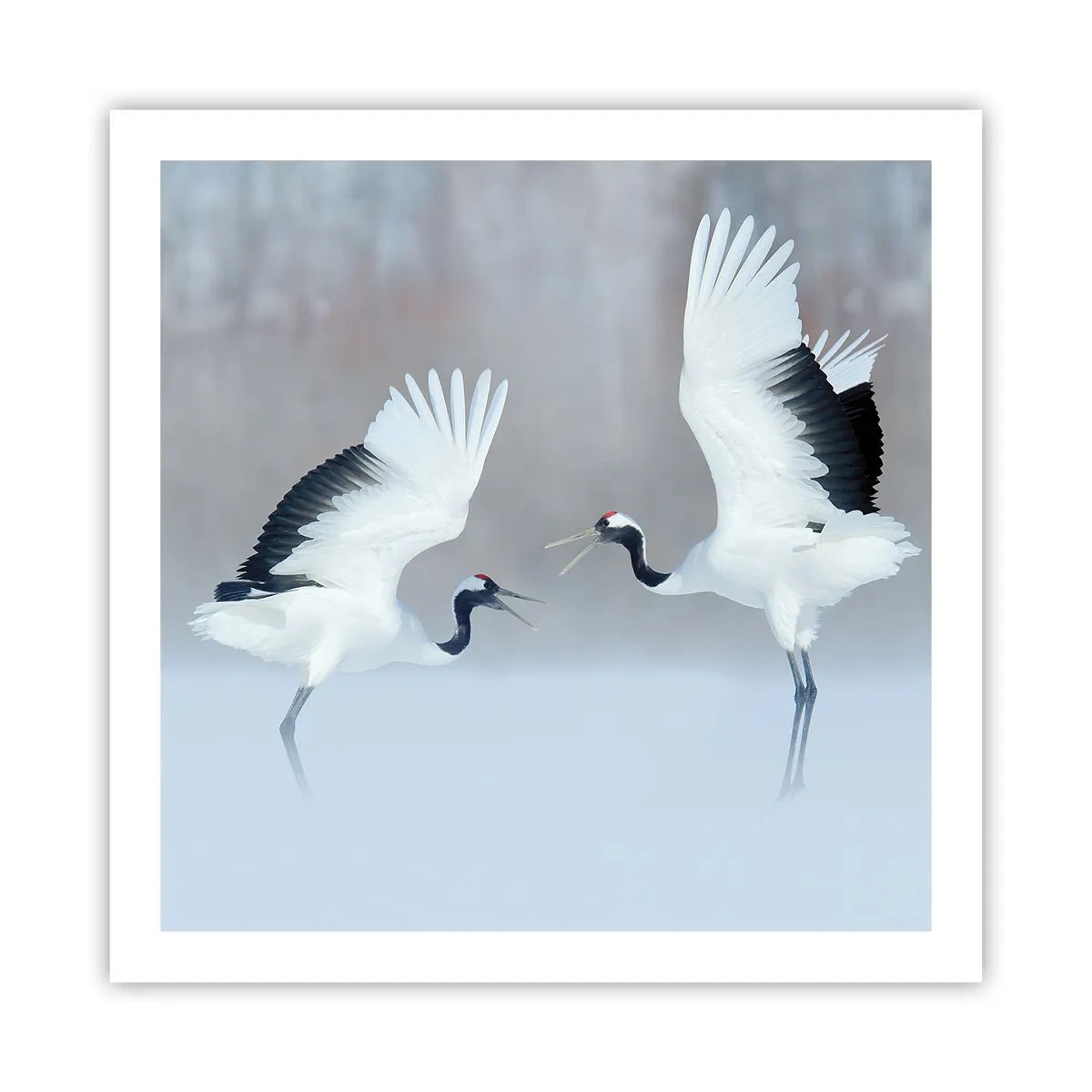 Poster - Tanz im Nebel - 60x60 cm