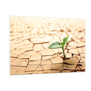 Glasbild - Bild auf glas - Eine junge Pflanze wächst aus trockener, rissiger Erde - 120x80cm - Die unbezähmbare Kraft des Lebens - Moderne Wanddekoration für Wohnzimmer und Schlafzimmer ARTTOR