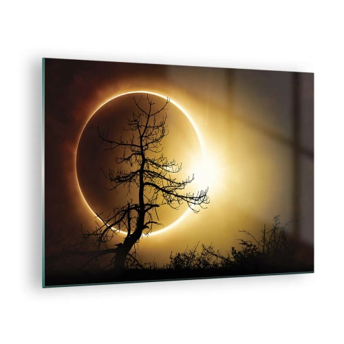 Glasbild - Bild auf glas - Sonnenfinsternis hinter dem Baum - 70x50cm - Totale Finsternis - Moderne Wanddekoration für Wohnzimmer und Schlafzimmer ARTTOR