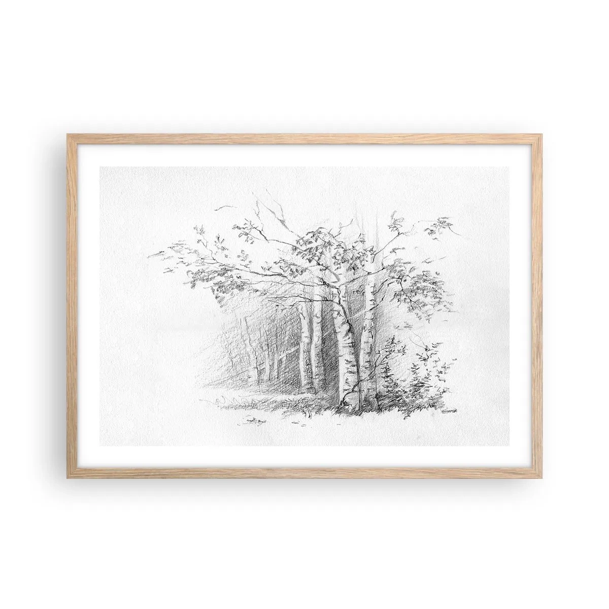 Poster in einem Rahmen aus heller Eiche - Das Licht des Birkenwaldes - 70x50 cm