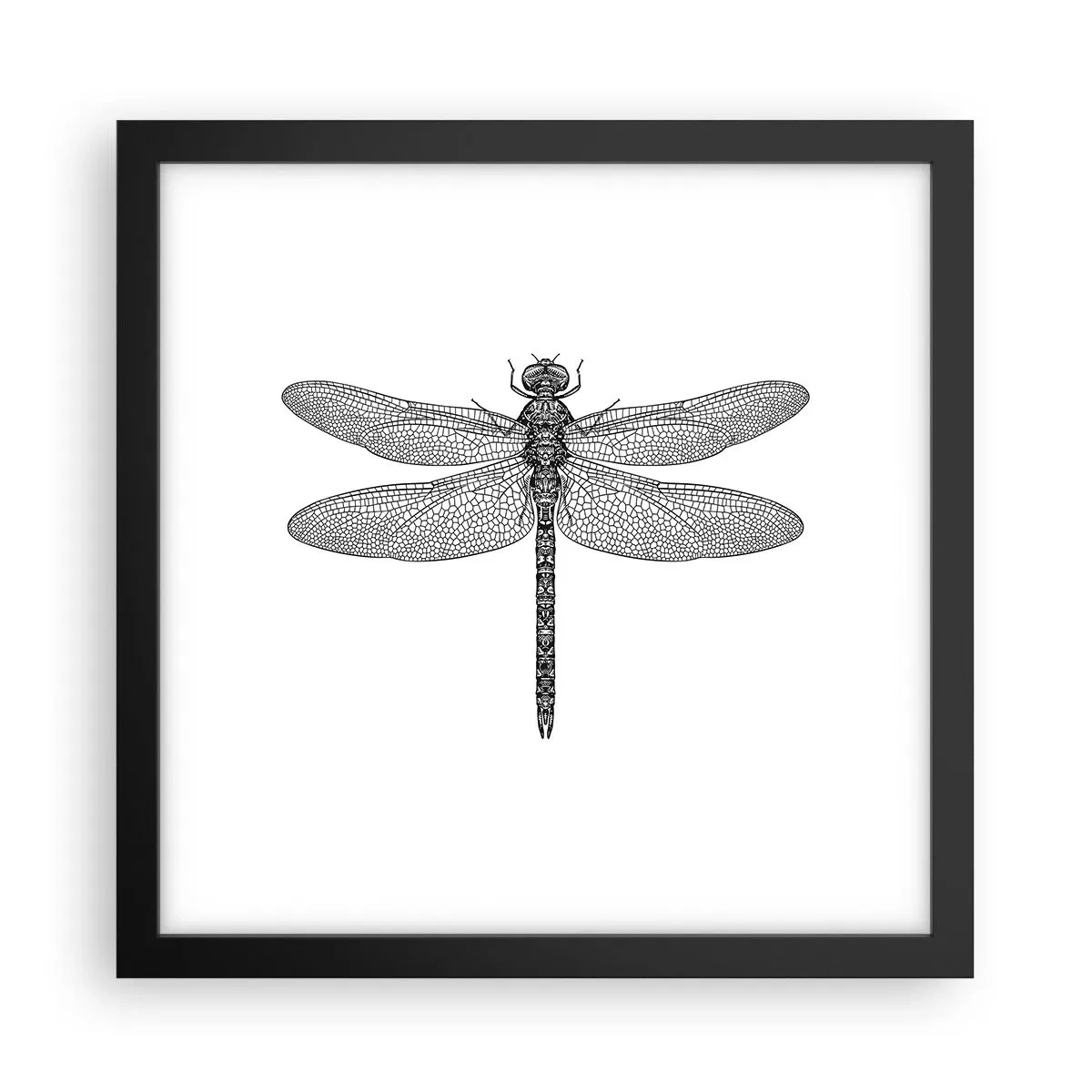 Poster in einem schwarzem Rahmen - Präzision der Natur - 30x30 cm