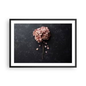 Poster in einem schwarzem Rahmen - Eine zarte Hortensienblüte auf dunklem Hintergrund - 70x50cm - Wirklich romantisches Zeichen - Moderne Wanddekoration für Wohnzimmer und Schlafzimmer ARTTOR