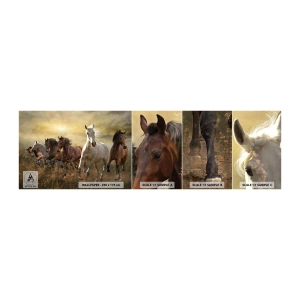 Fototapeten Muster Selbstklebend Deluxe Sticker - Lang lebe die Freiheit! - Tiere, Pferd, Galopp - 100x30 cm