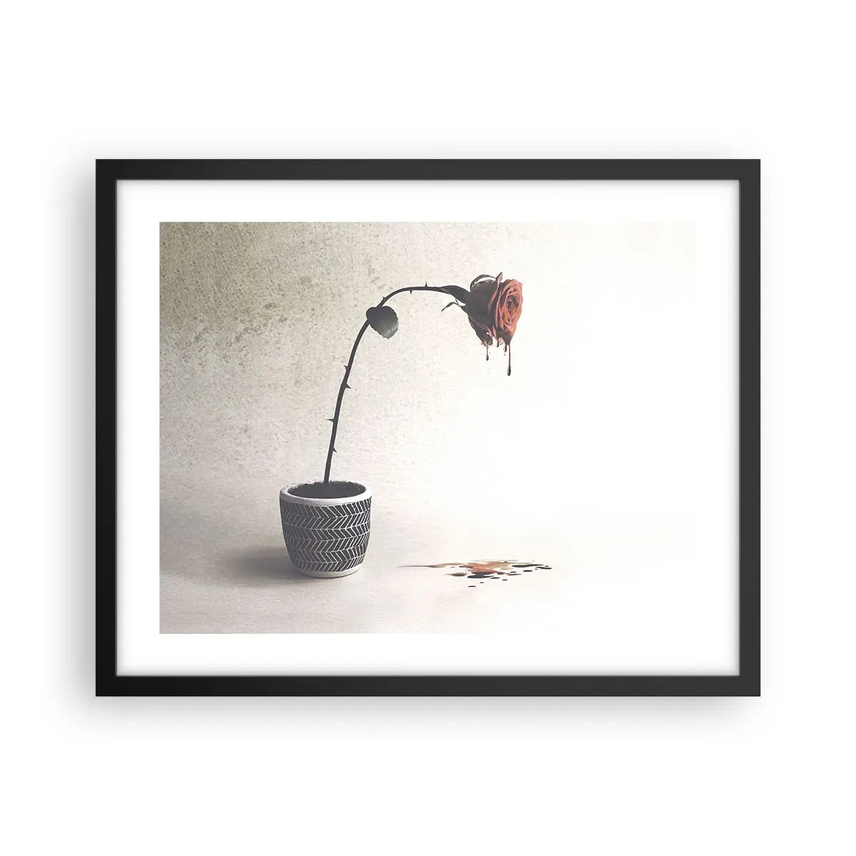Poster in einem schwarzem Rahmen - Rosa dolorosa - 50x40 cm