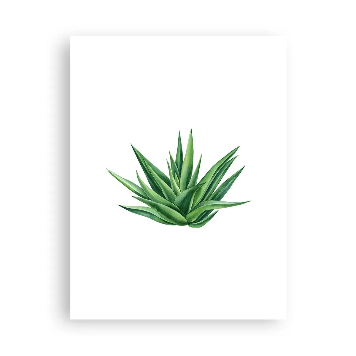 Poster - Grün – Kraft – Leben - 30x40 cm