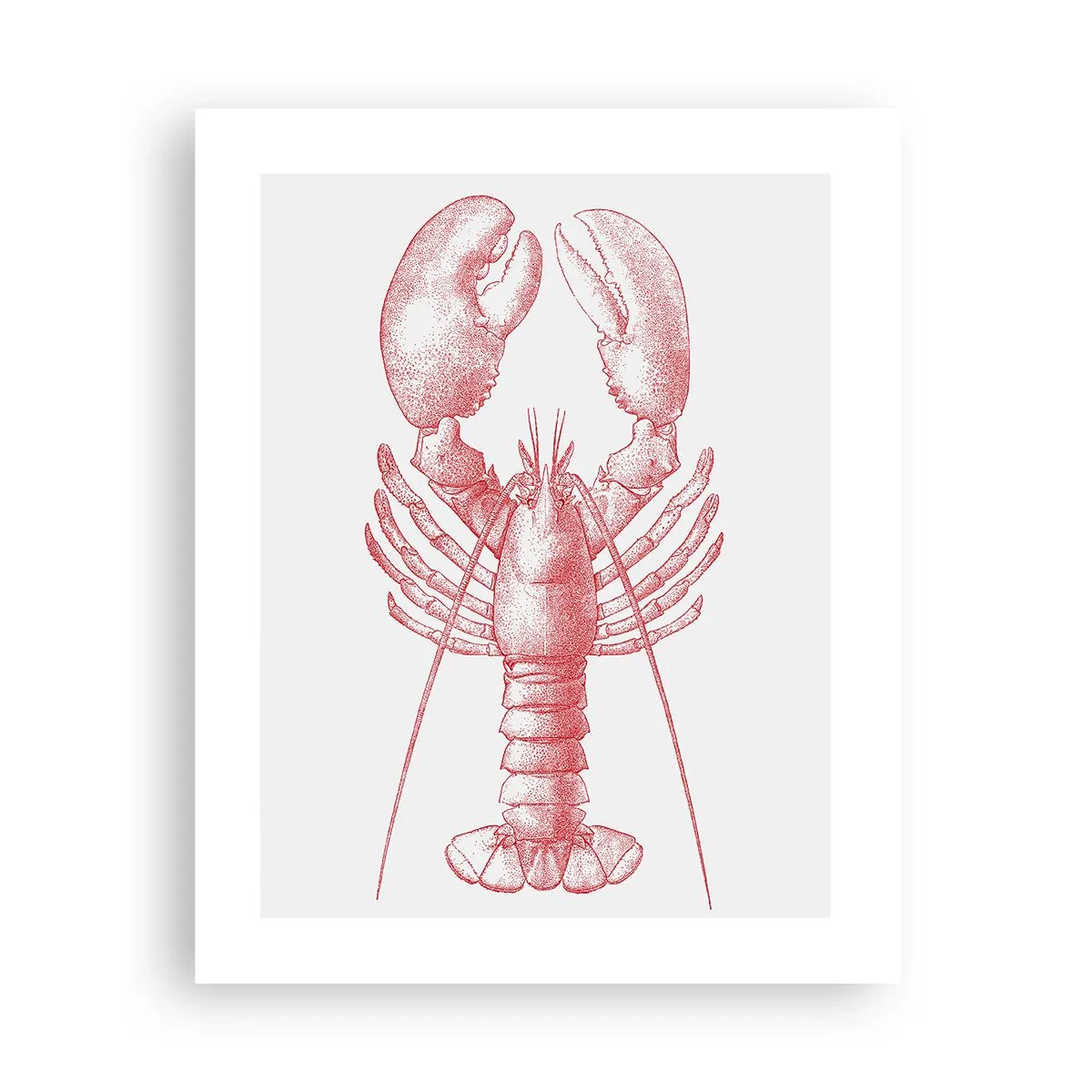 Poster - Hummer, der Homers würdig ist - 40x50 cm