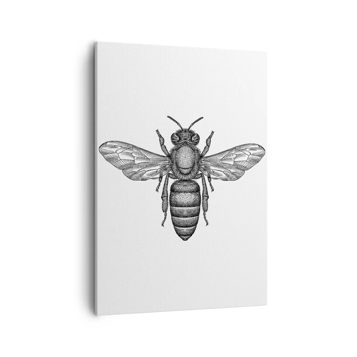 Bild auf Leinwand - Leinwandbild - Ein Cartoon-Bienenmotiv auf weißem Hintergrund im minimalistischen Stil. - 50x70cm - Insektenporträt - Moderne Wanddekoration für Wohnzimmer und Schlafzimmer ARTTOR